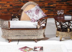 热带珍果红毛丹 食用指南与营养美容价值